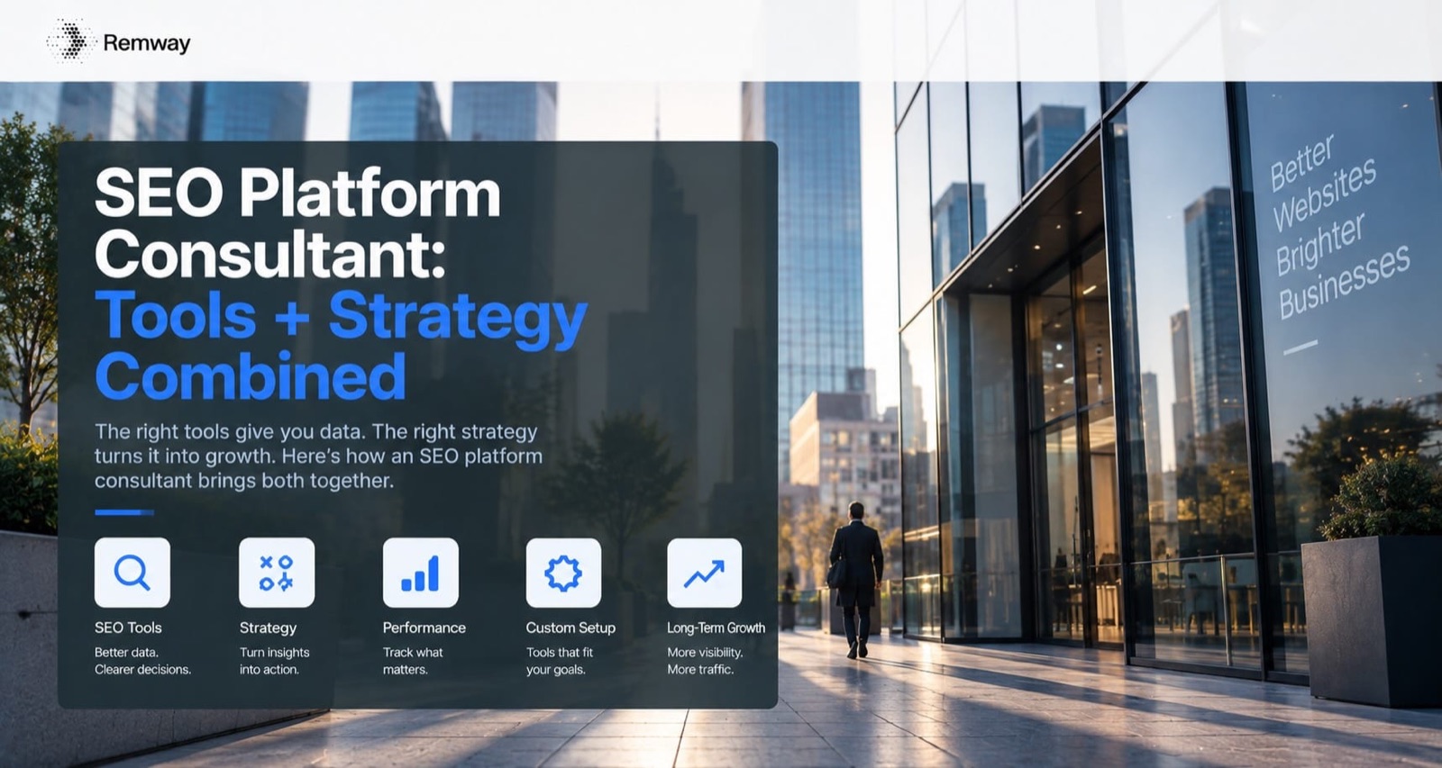 SEO Platform Consultant: Tools + Strategy Combined